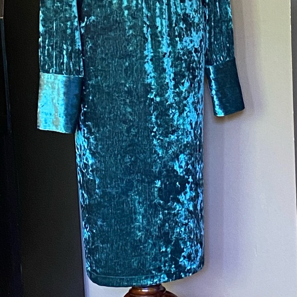 Textured Velvet Dress - Picture 3 of 8